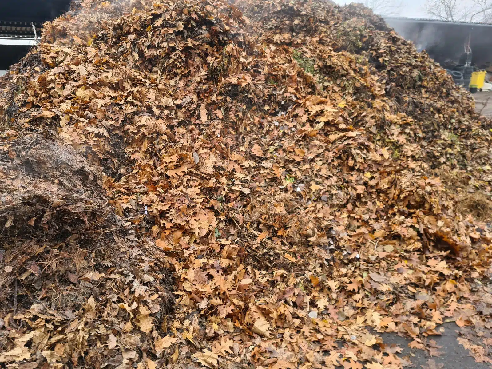 odpady biodegradowalne